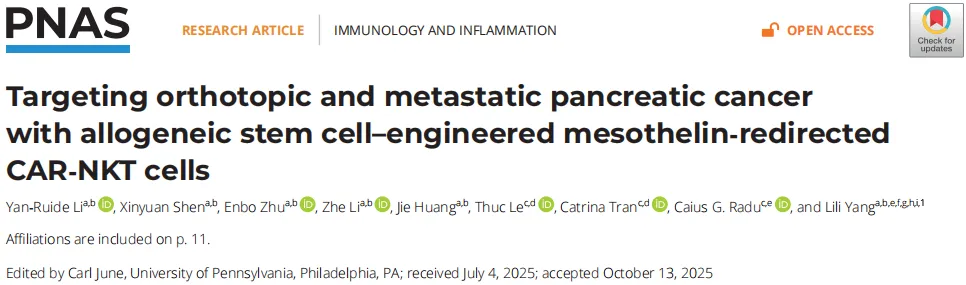 一袋脐带血，千剂细胞药：干细胞技术为“癌王”带来通用免疫细胞治疗新思路