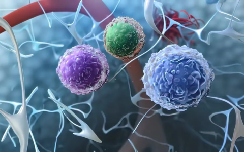 中风治疗迎来新突破！干细胞与免疫系统 "联手" 开启修复新路径