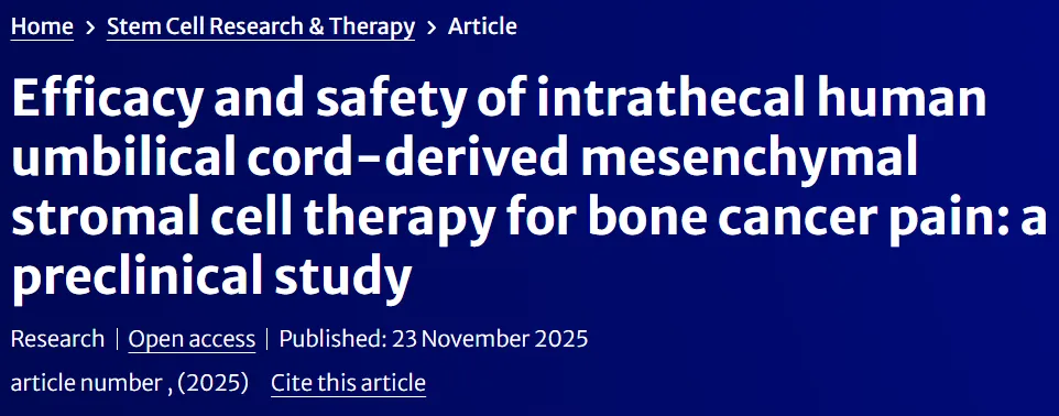 骨转移疼痛不止？前临床研究发现：脐带间充干细胞有镇痛效果且安全