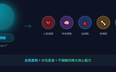 干细胞治疗是什么？2025年最全入门指南