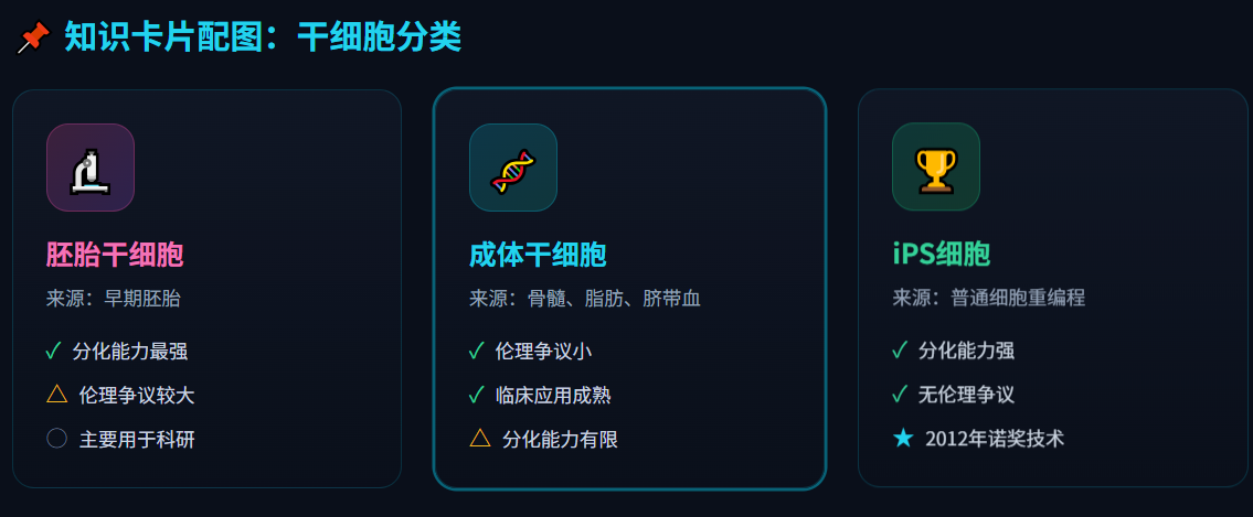 干细胞治疗是什么？2025年最全入门指南