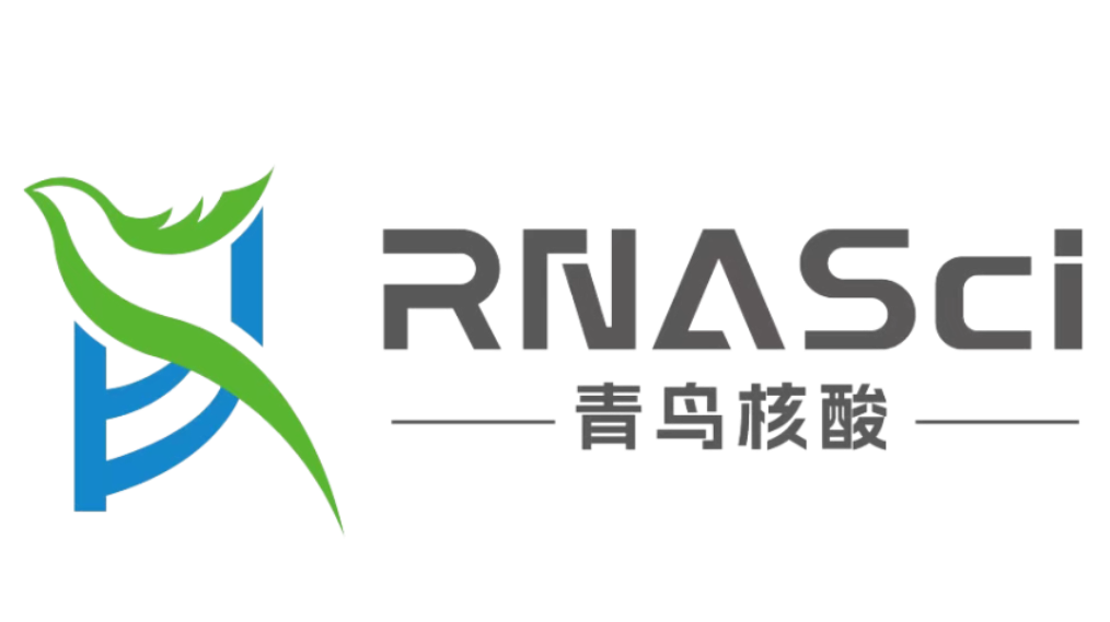 #阵容首发 | NEW-MED 2026 高端医疗器械生物材料研发及应用峰会 北京·3月17日