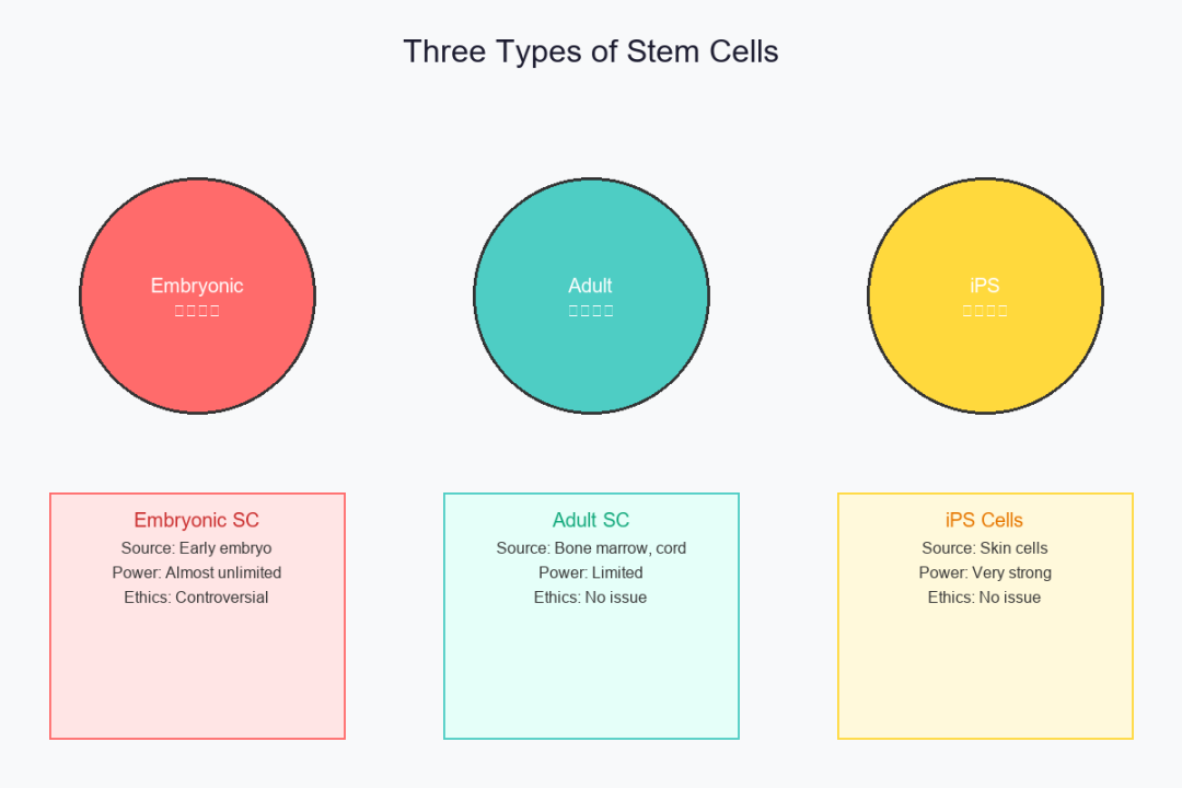 科普:干细胞能治哪些病?这10类人群必看