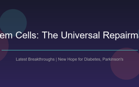 干细胞：你身体里的"万能修理工"