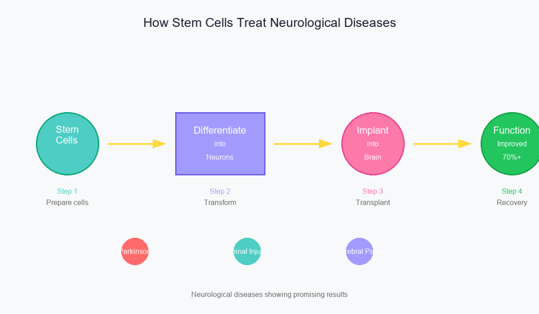 科普:干细胞能治哪些病?这10类人群必看